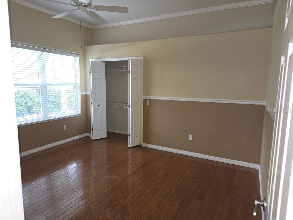 9127 Woodridge Run Drive Tampa FL 33647 TB8387817 image41