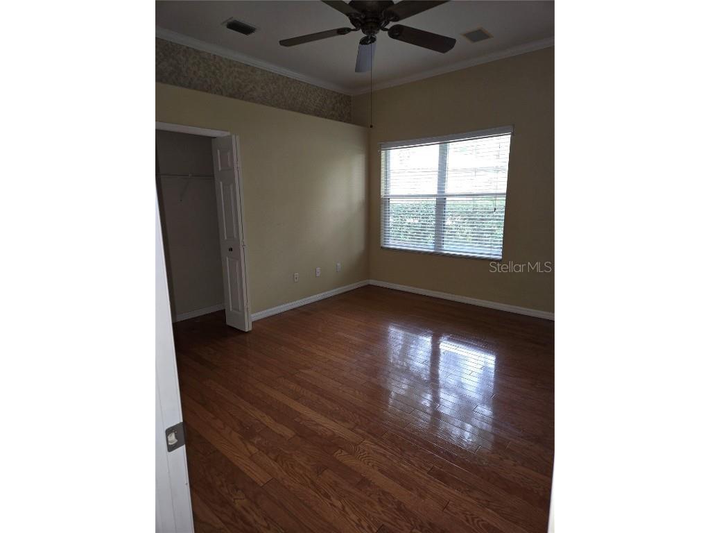 9127 Woodridge Run Drive Tampa FL 33647 TB8387817 image42