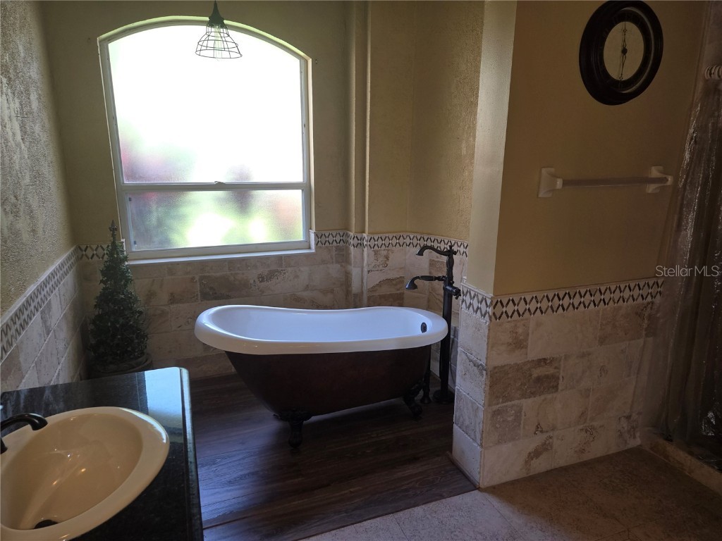 9127 Woodridge Run Drive Tampa FL 33647 TB8387817 image48