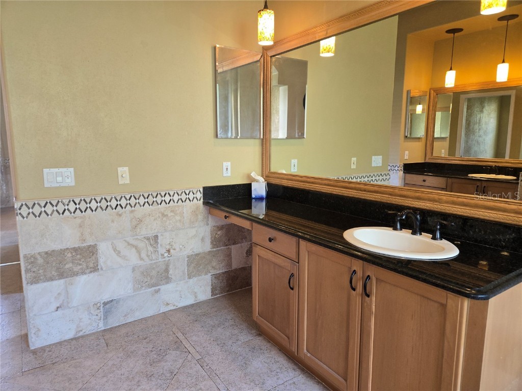 9127 Woodridge Run Drive Tampa FL 33647 TB8387817 image52