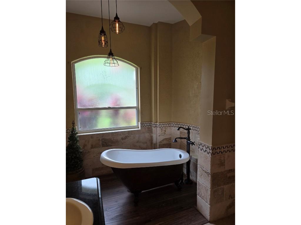 9127 Woodridge Run Drive Tampa FL 33647 TB8387817 image56