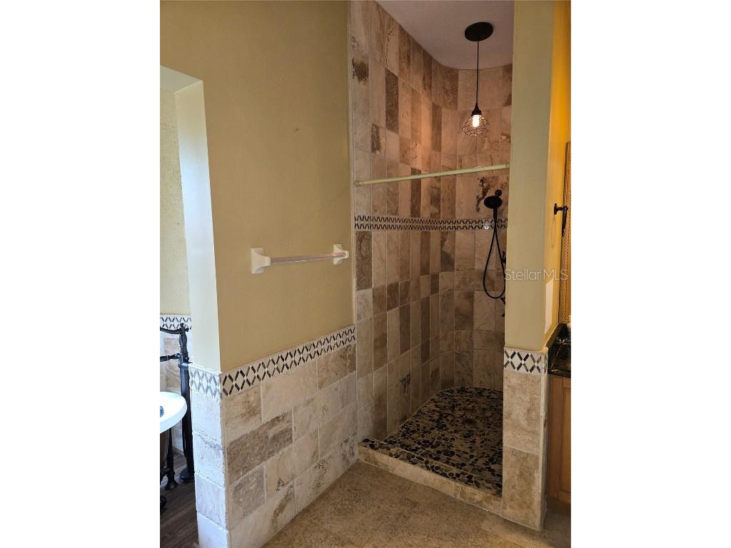 9127 Woodridge Run Drive Tampa FL 33647 TB8387817 image57