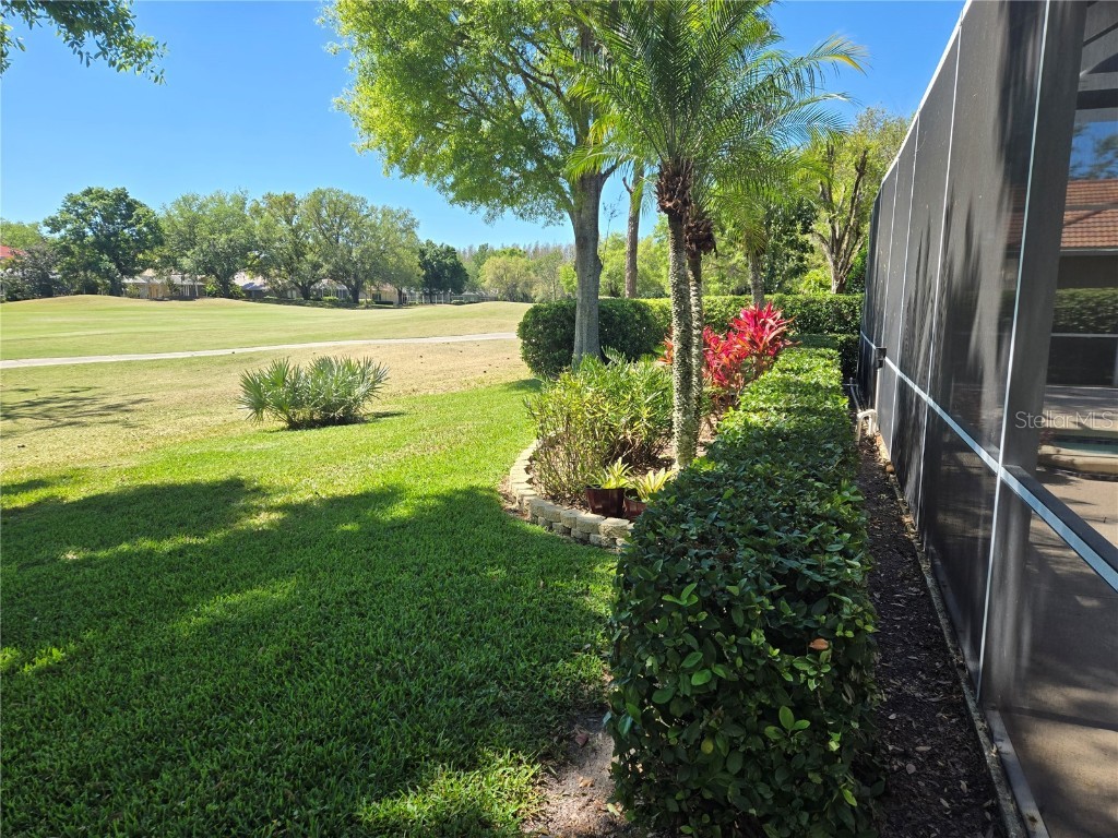 9127 Woodridge Run Drive Tampa FL 33647 TB8387817 image69