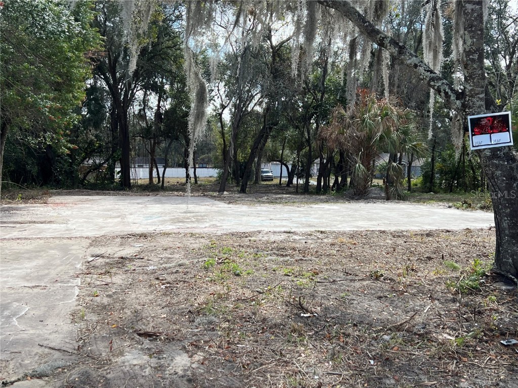 9128 Royal Palm Avenue New Port Richey FL 34654 U8152711 image1