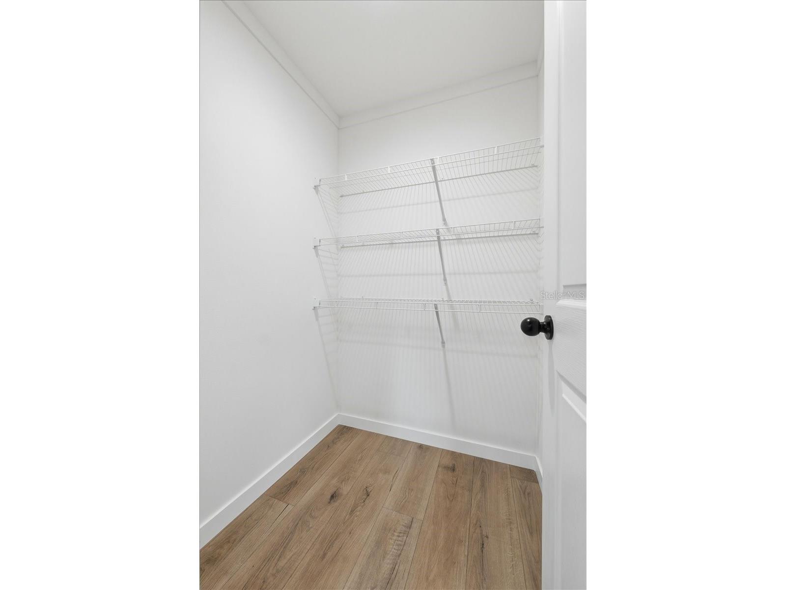 9128 Scepter Avenue Brooksville FL 34613 P4936645 image32