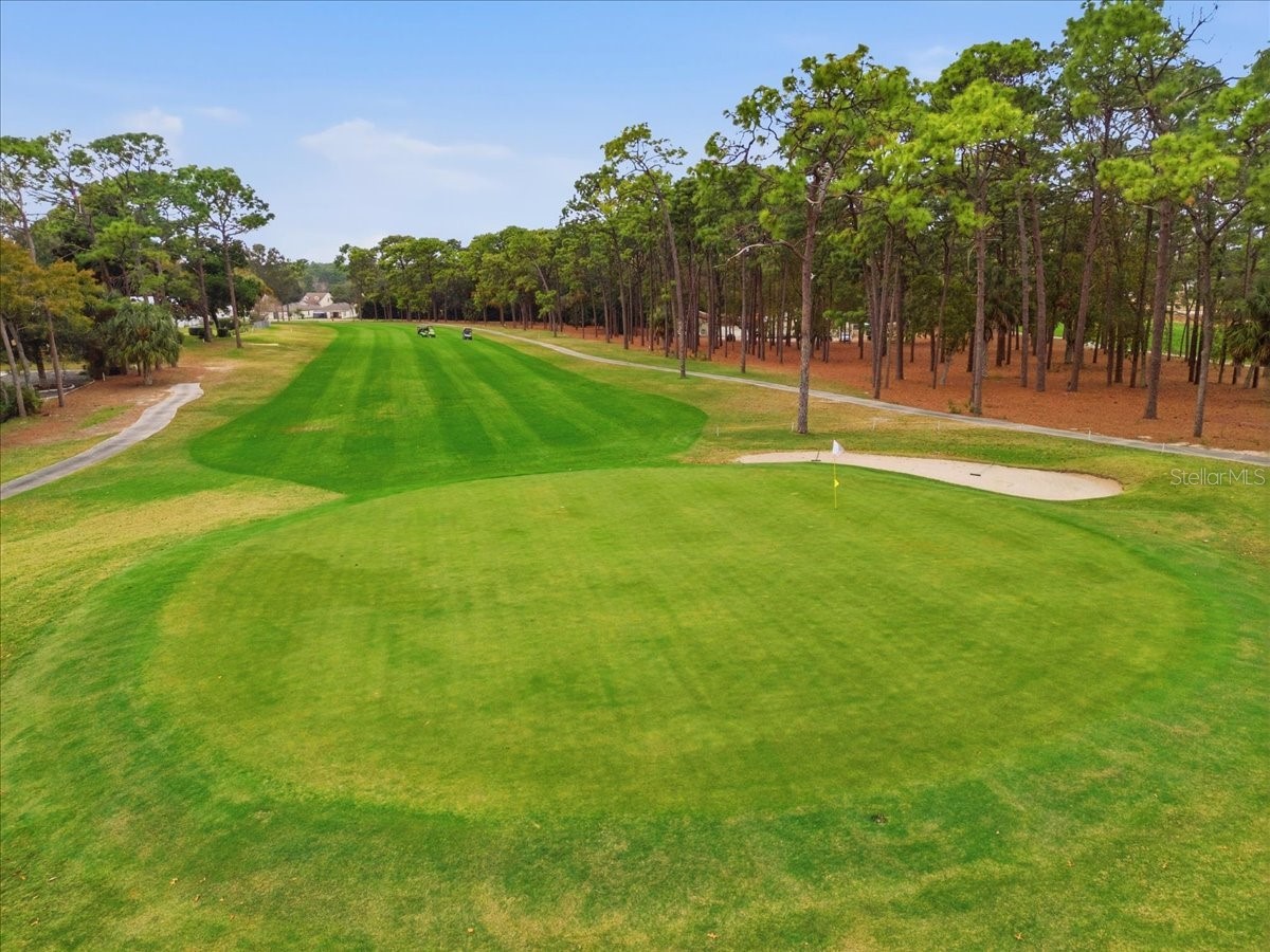 9128 Scepter Avenue Brooksville FL 34613 P4936645 image34