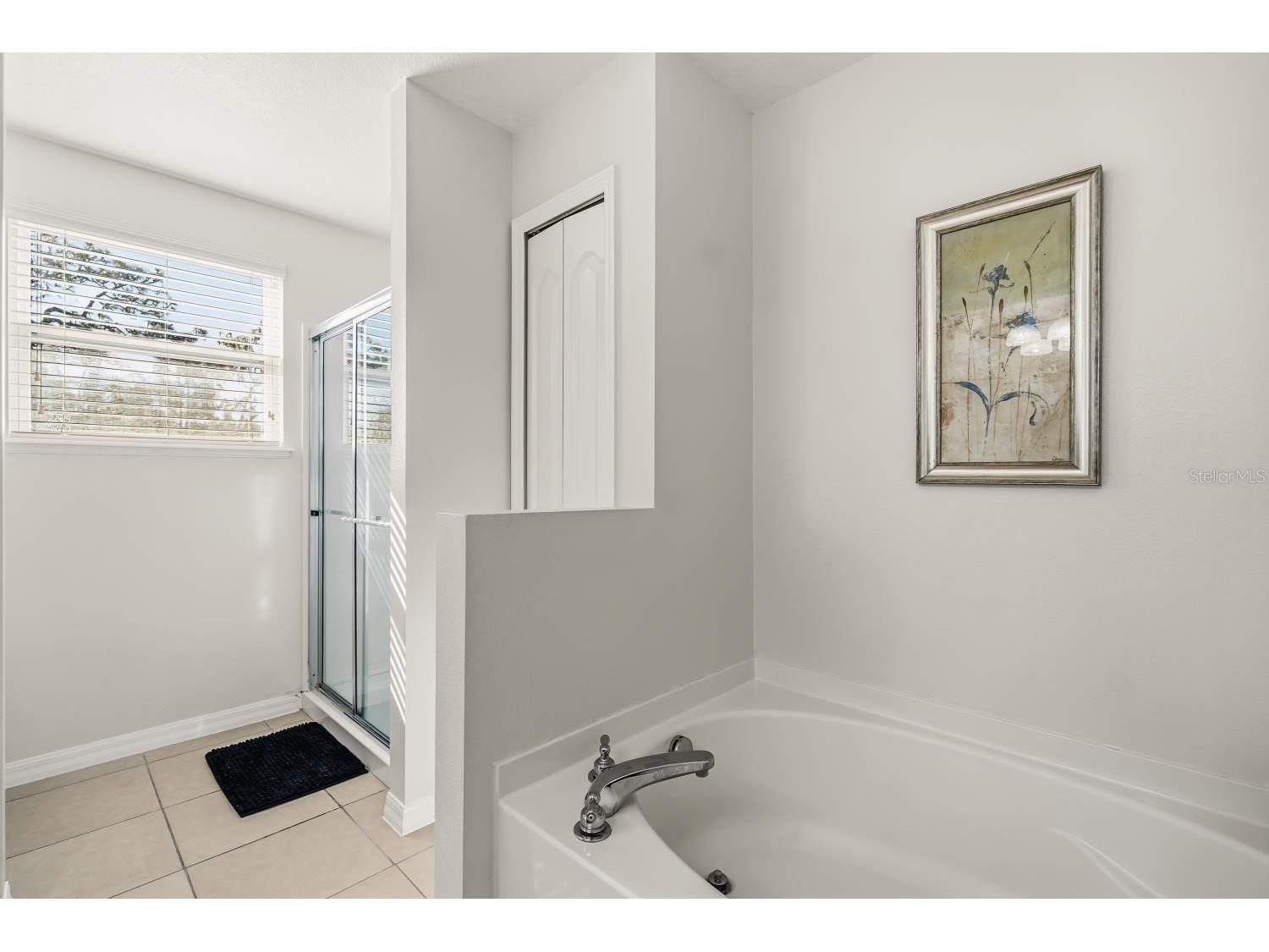 9128 Stromboli Court Kissimmee FL 34747 S5150057 image19
