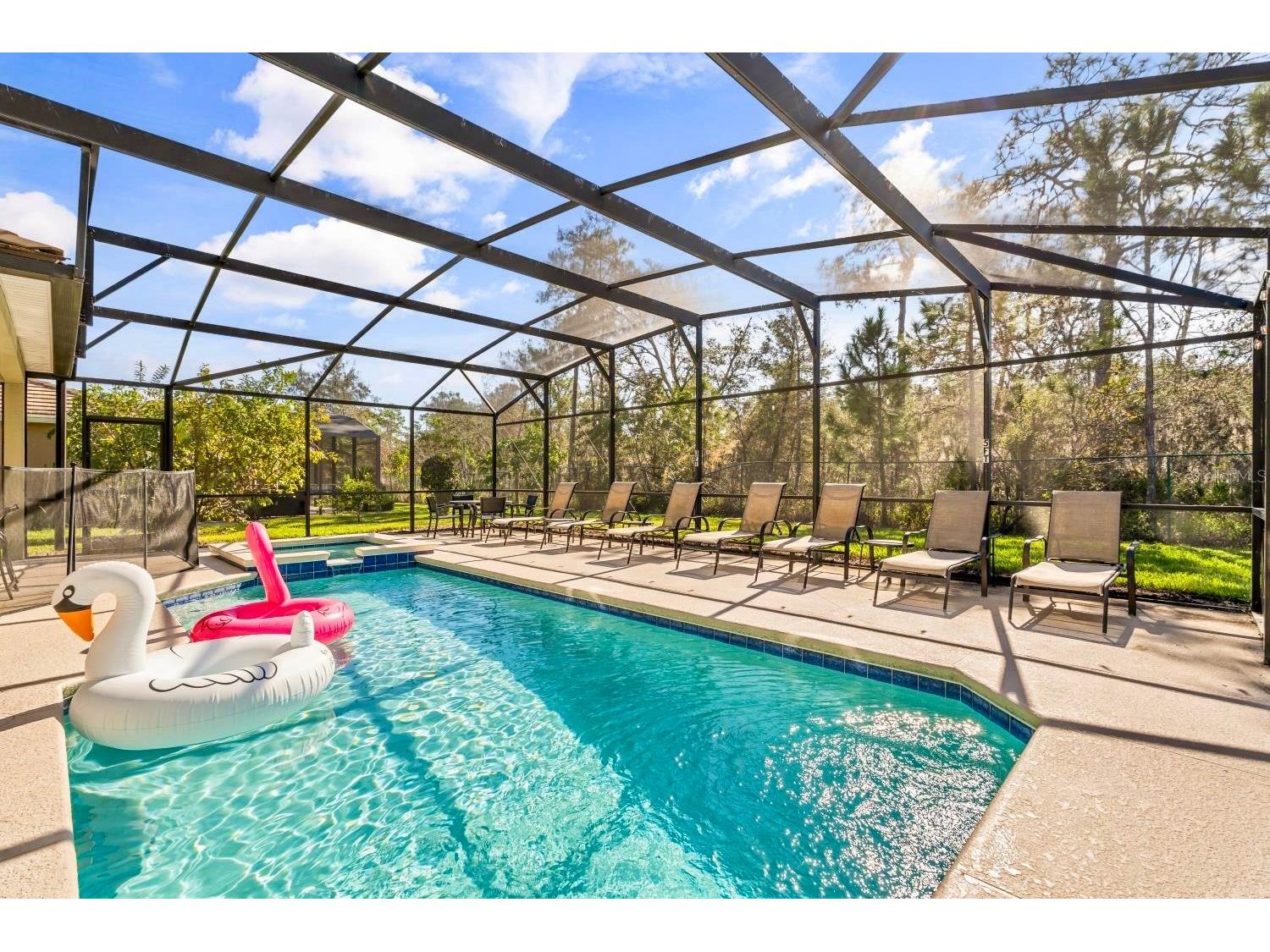 9128 Stromboli Court Kissimmee FL 34747 S5150057 image4