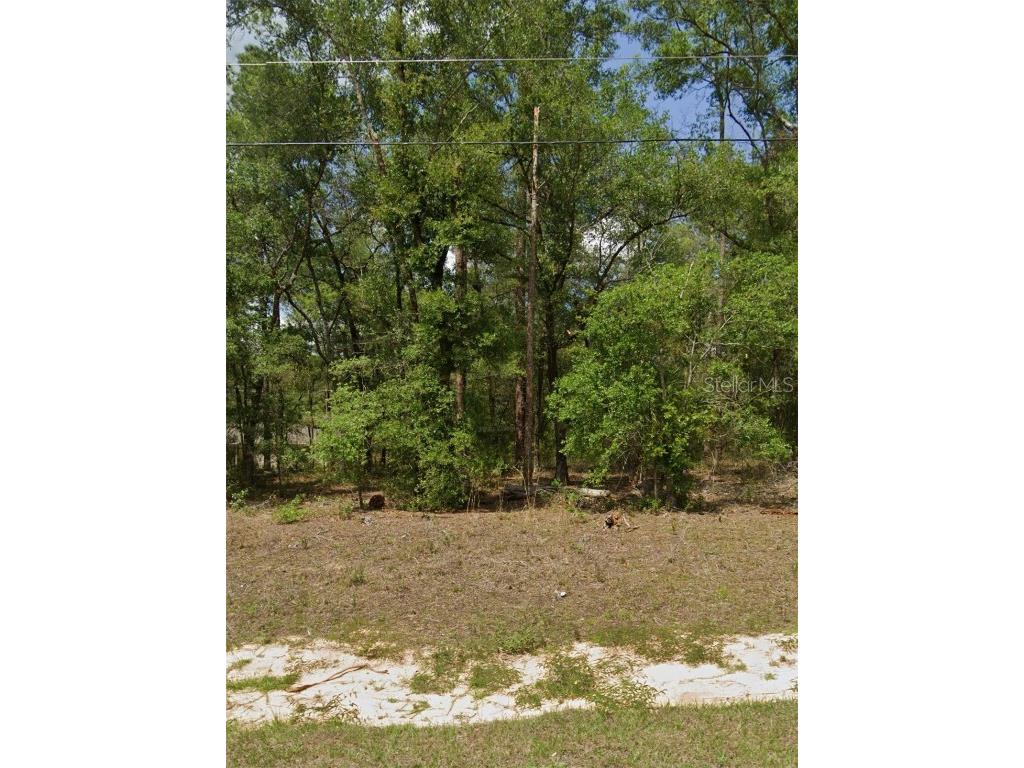 9129 N Anton Way Citrus Springs FL 34433 GC525073 image1