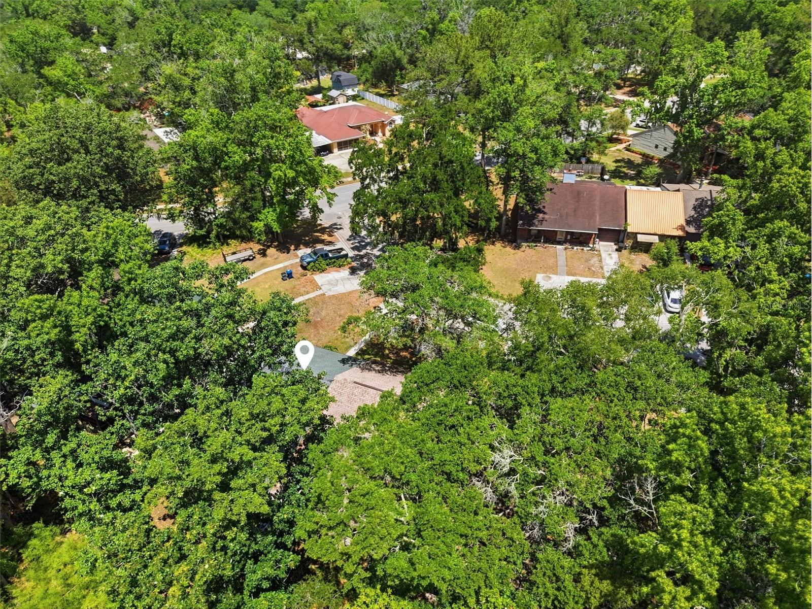 913 Candlebrook Lane Brooksville FL 34601 TB8506475 image33