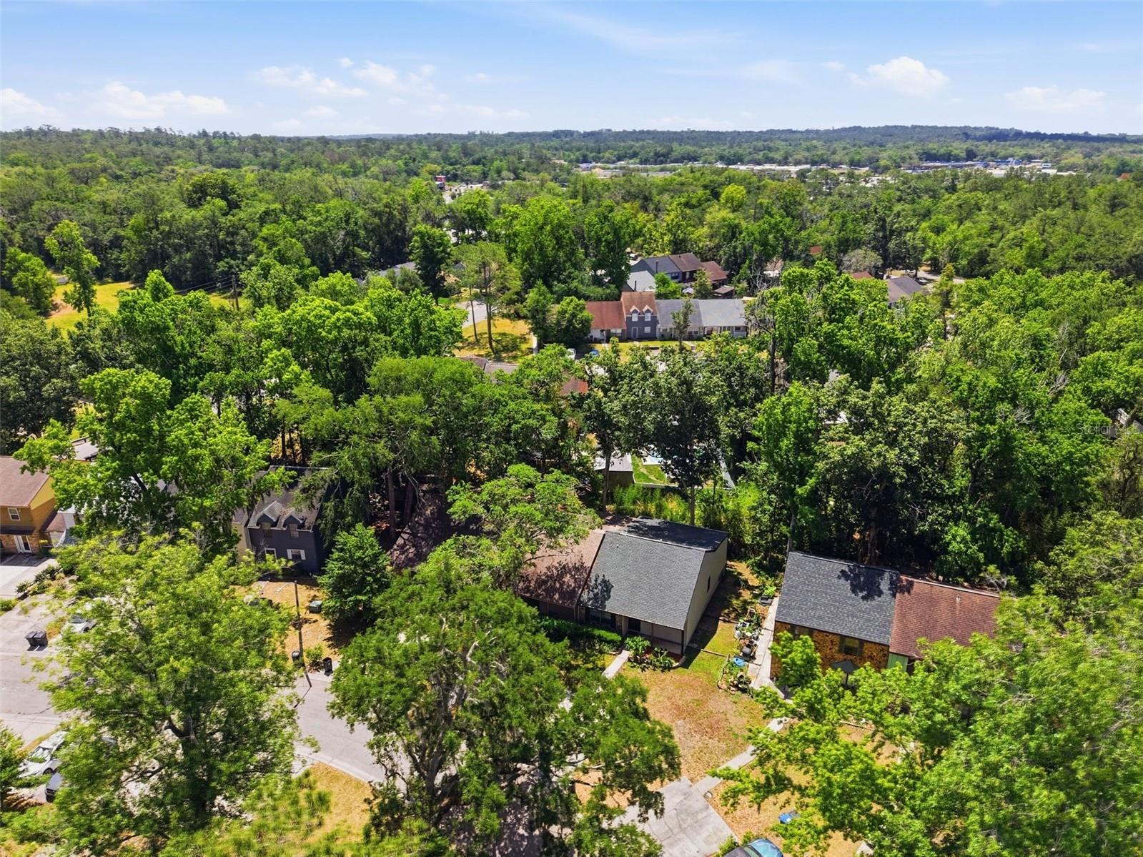 913 Candlebrook Lane Brooksville FL 34601 TB8506475 image35