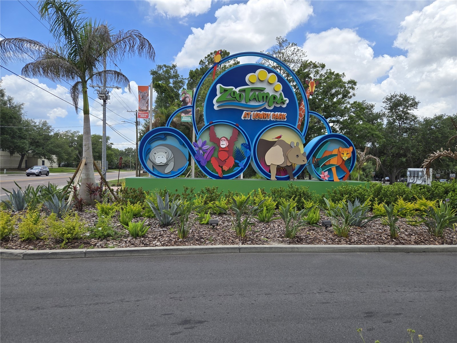 913 E 122nd Avenue Tampa FL 33612 TB8513214 image16