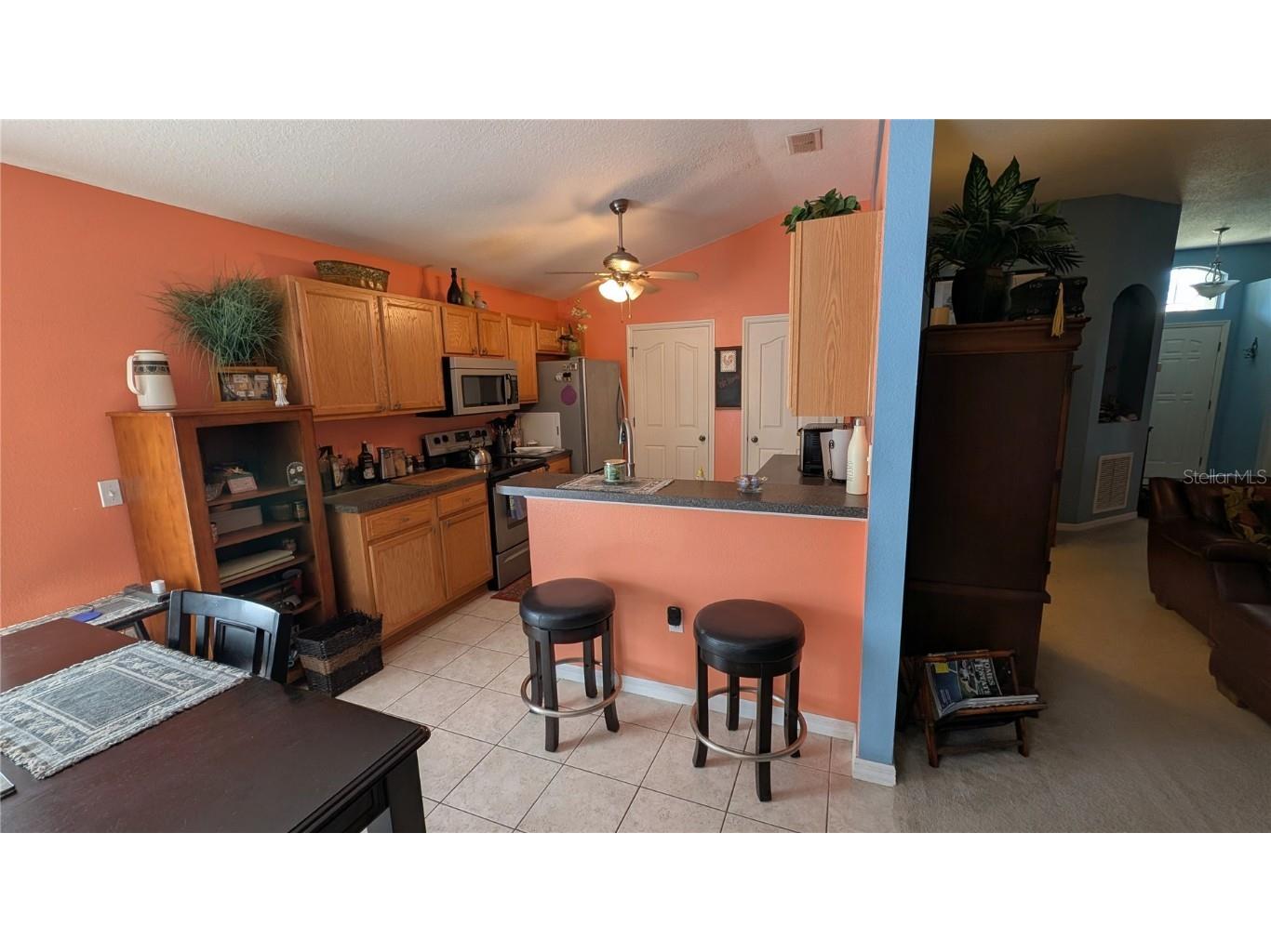 913 Lake Lindley Drive N Deland FL 32724 V4941996 image7