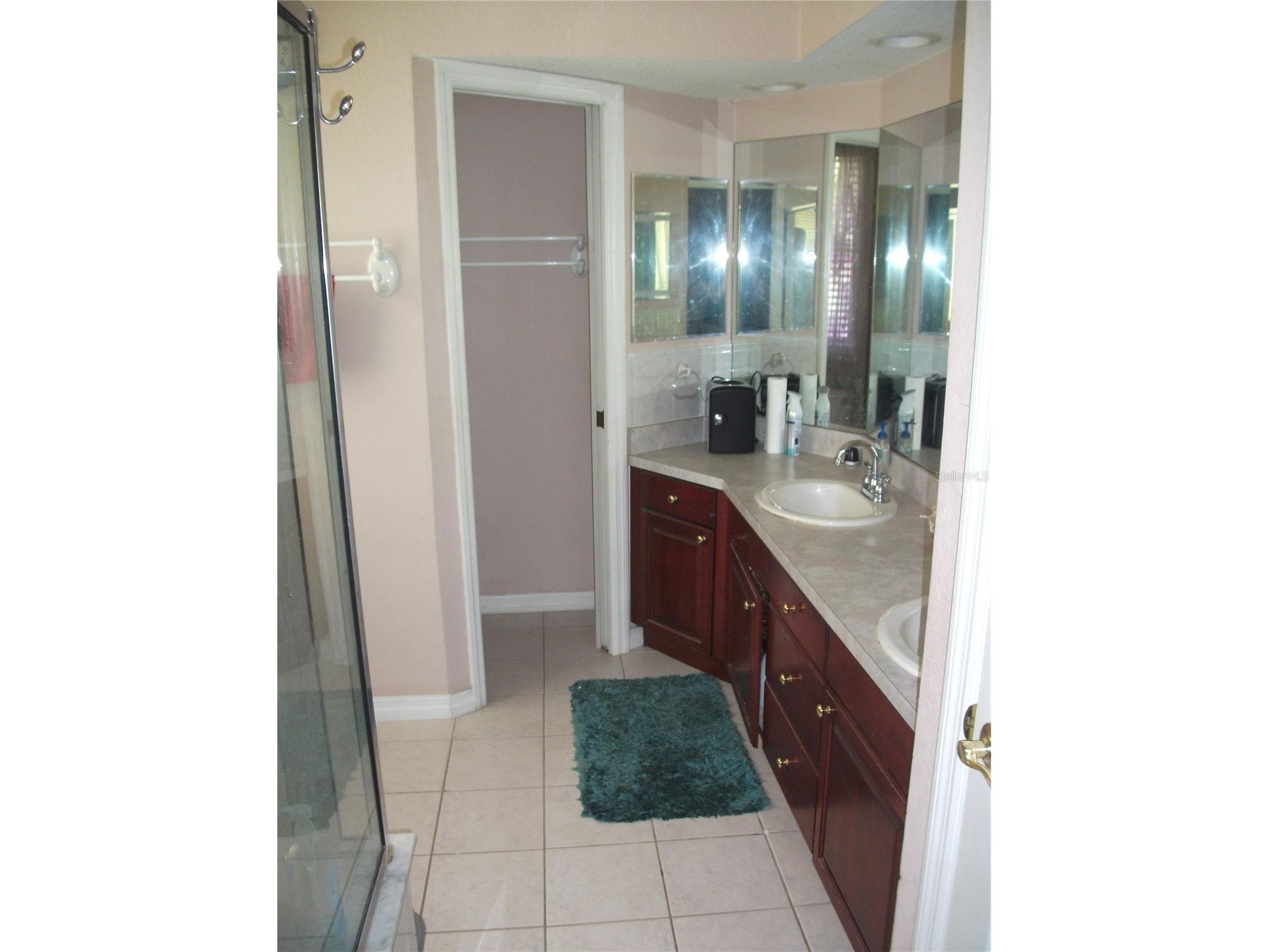 913 Michele Circle Dunedin FL 34698 TB8465082 image15