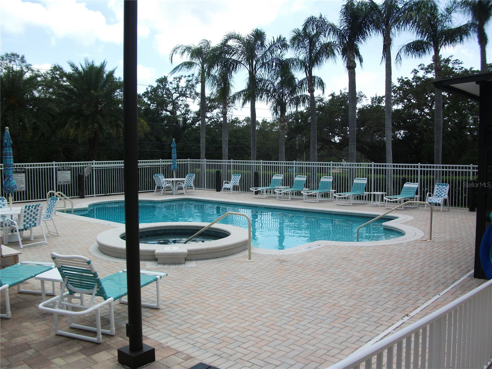 913 Michele Circle Dunedin FL 34698 TB8465082 image2