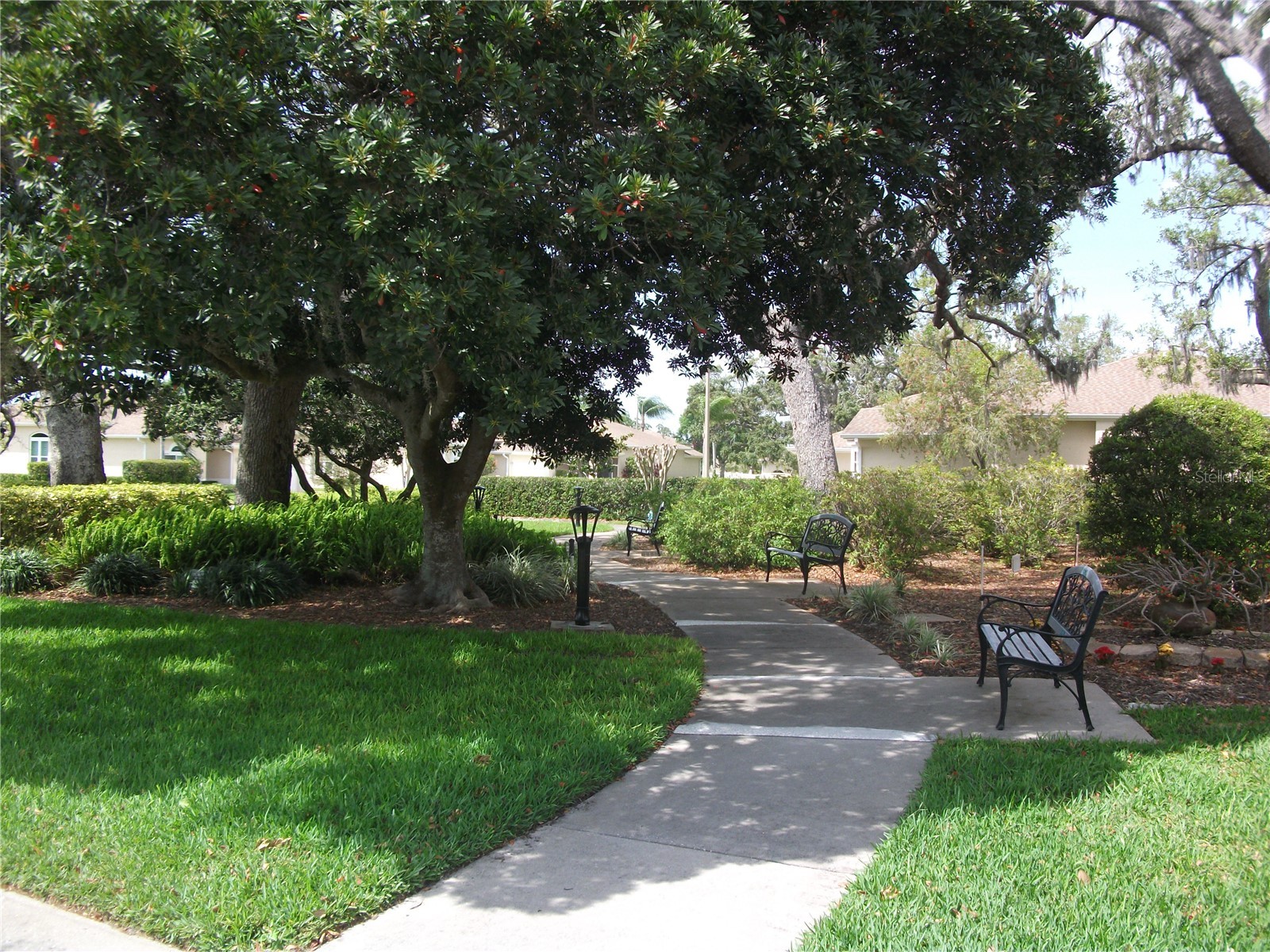 913 Michele Circle Dunedin FL 34698 TB8465082 image32
