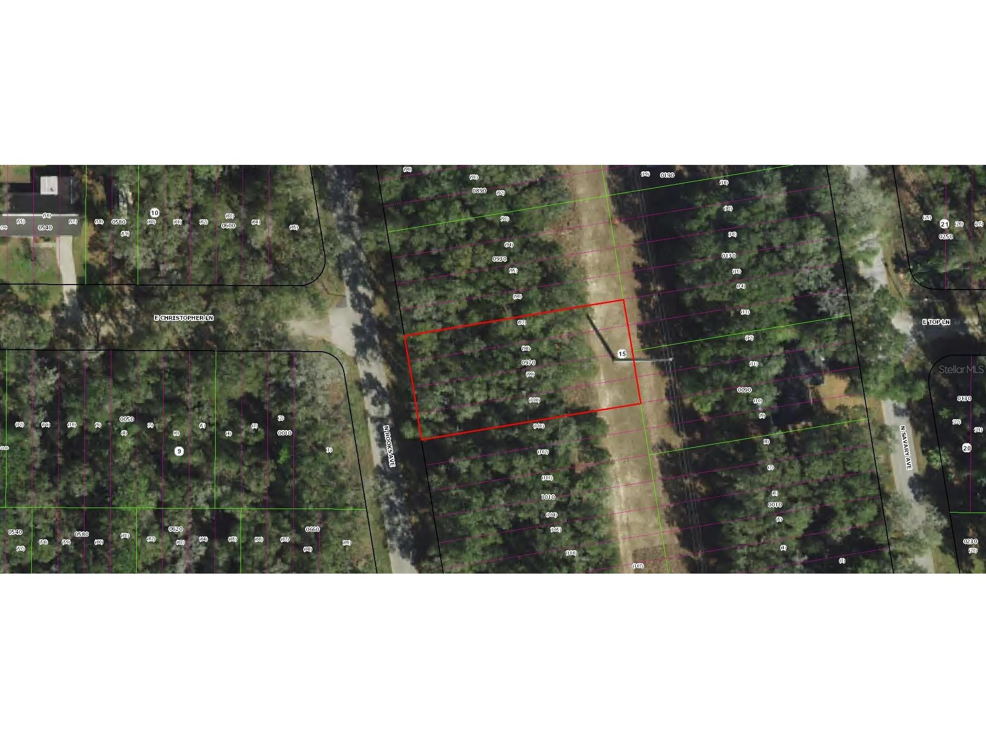 913 N Rooks Avenue Inverness FL 34453 TB8473398 image1