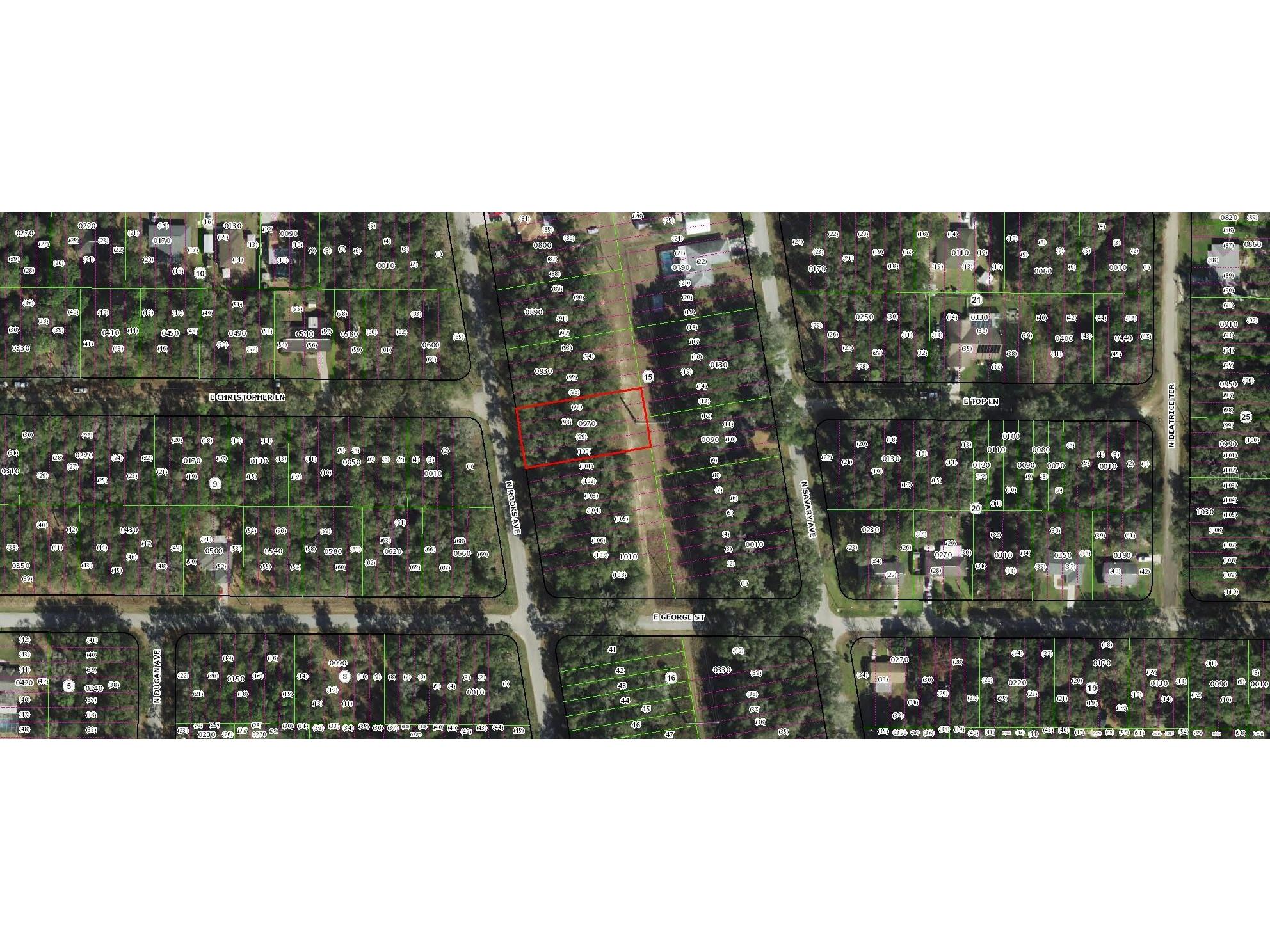 913 N Rooks Avenue Inverness FL 34453 TB8473398 image2