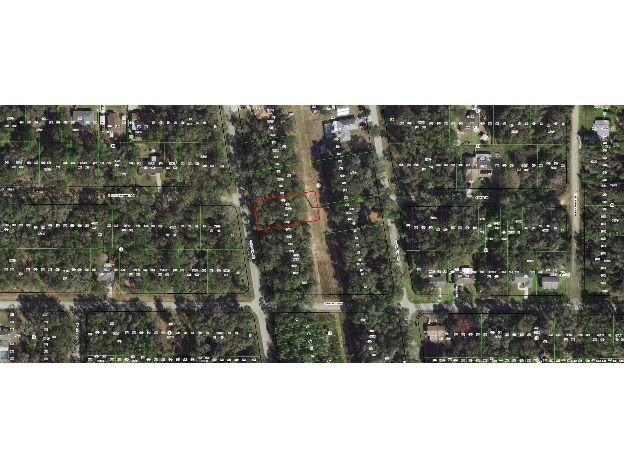 913 N Rooks Avenue Inverness FL 34453 TB8473398 image3