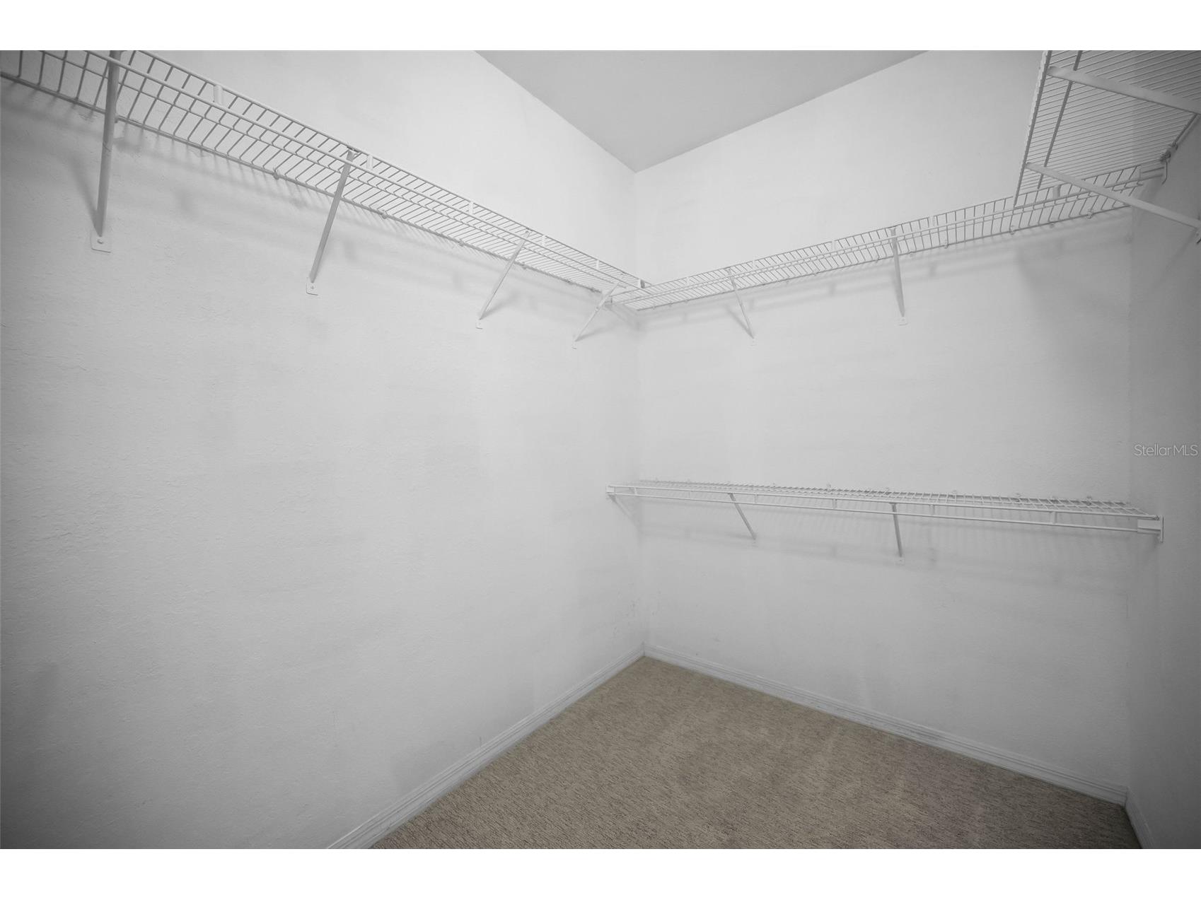 913 Normandy Trace Road #913 Tampa FL 33602 TB8495883 image36