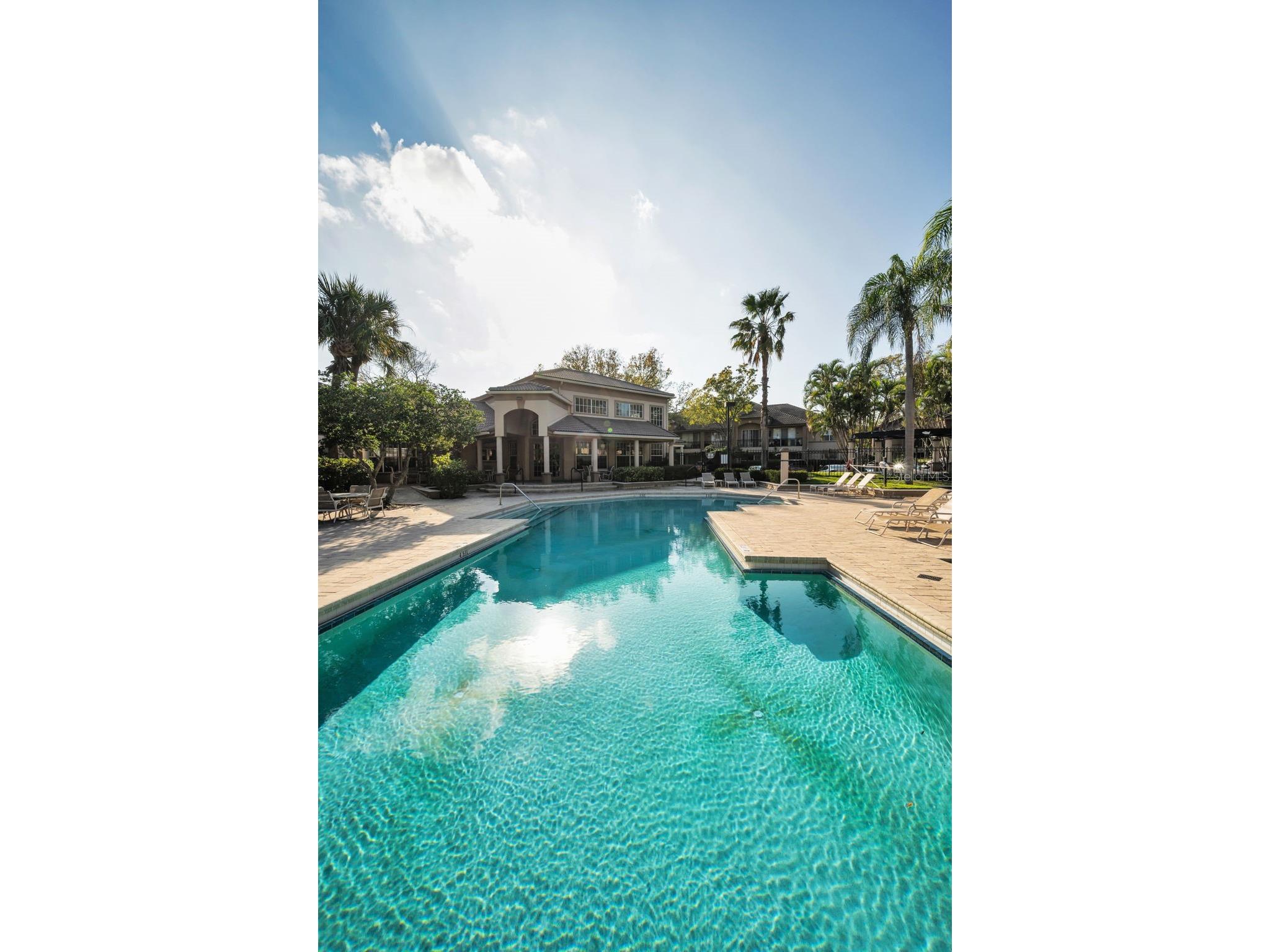 913 Normandy Trace Road #913 Tampa FL 33602 TB8495883 image54