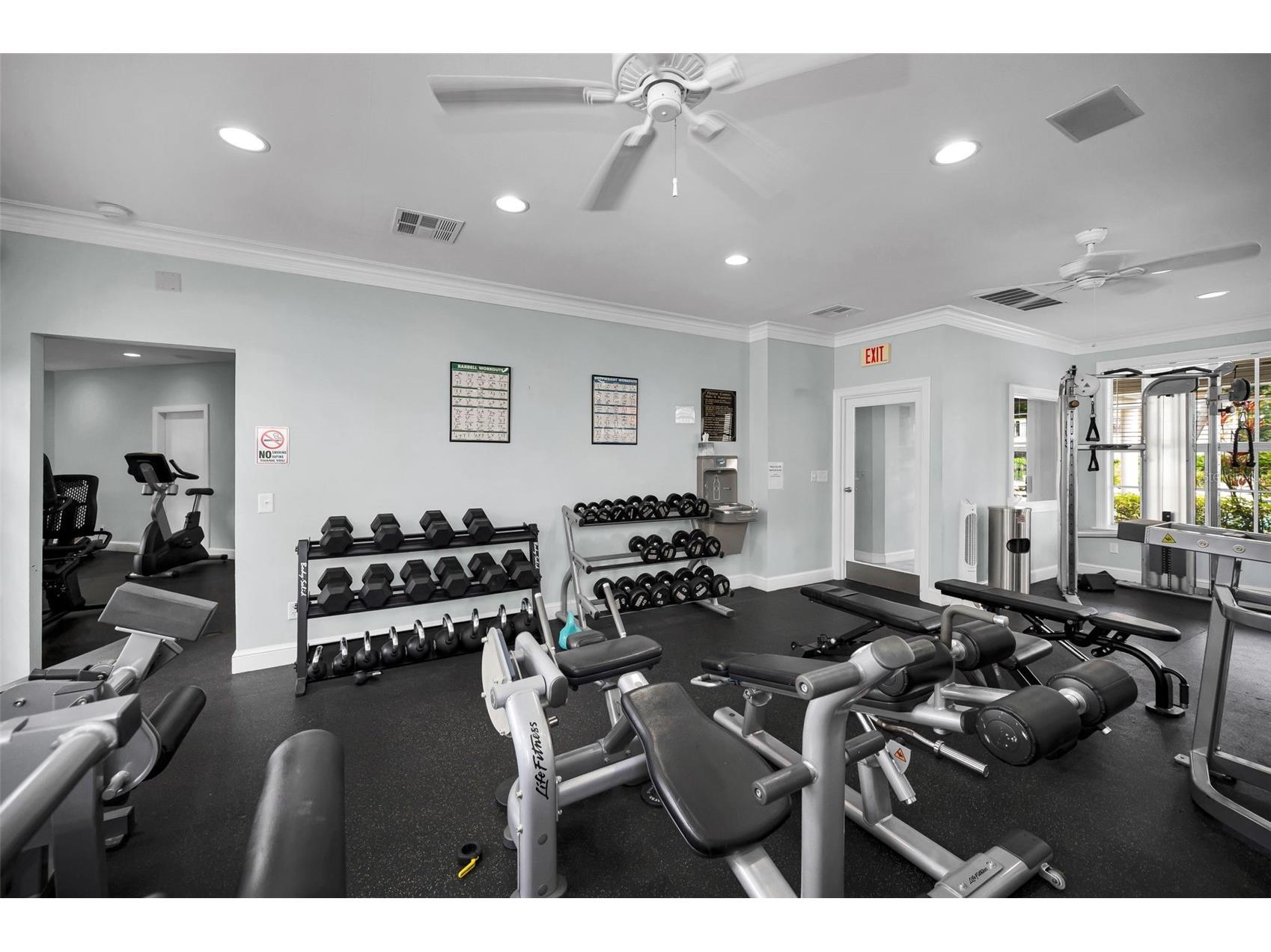 913 Normandy Trace Road #913 Tampa FL 33602 TB8495883 image71