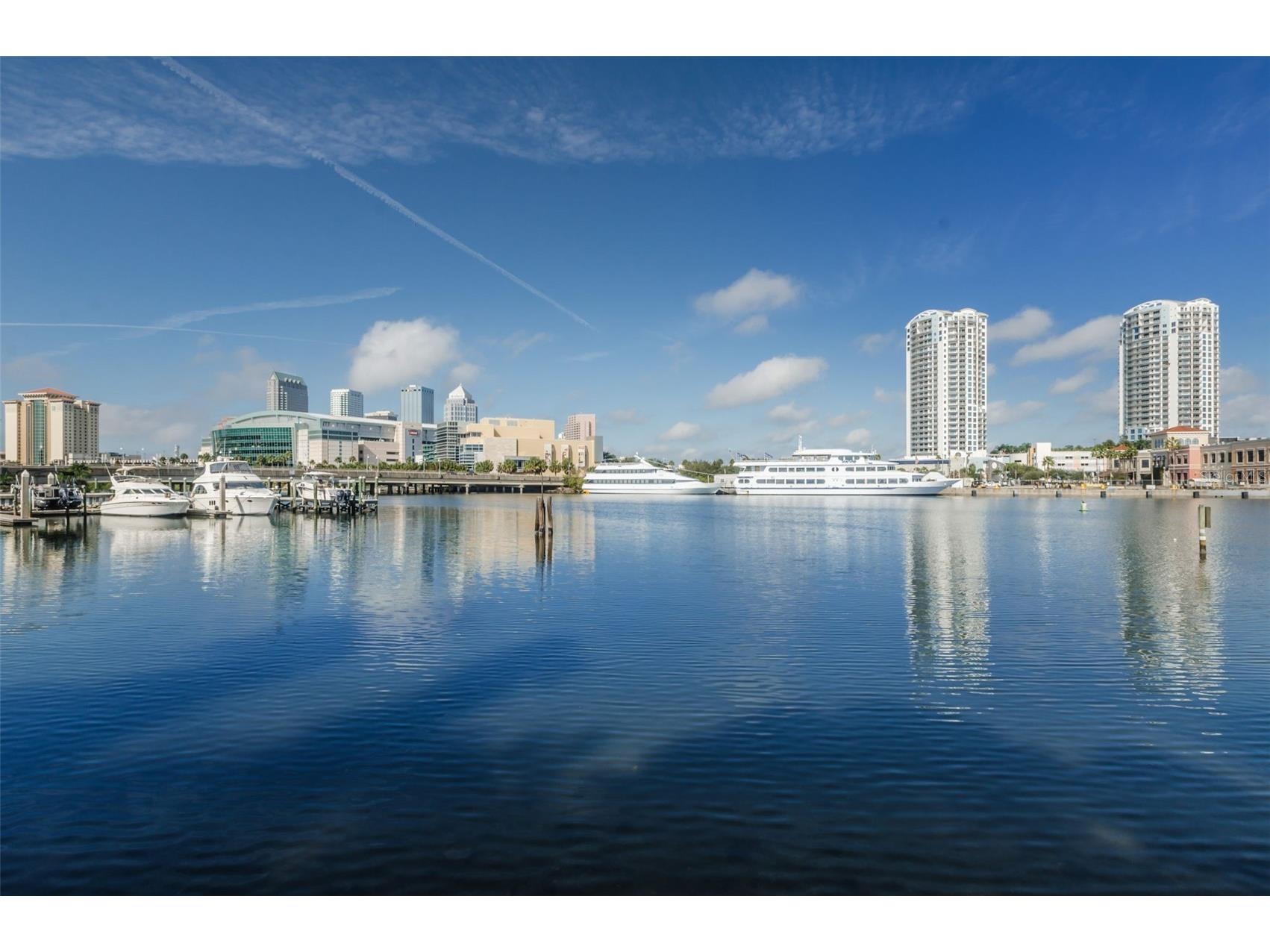 913 Normandy Trace Road #913 Tampa FL 33602 TB8495883 image79