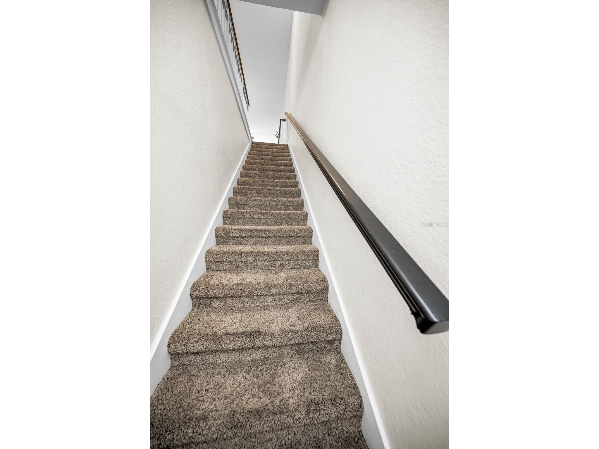 913 Normandy Trace Road #913 Tampa FL 33602 TB8495883 image9