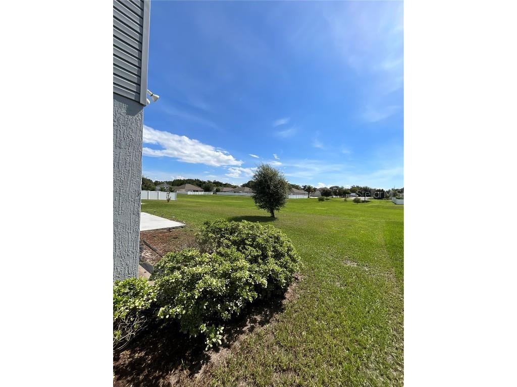 913 NW 251st Drive Newberry FL 32669 OM707079 image5