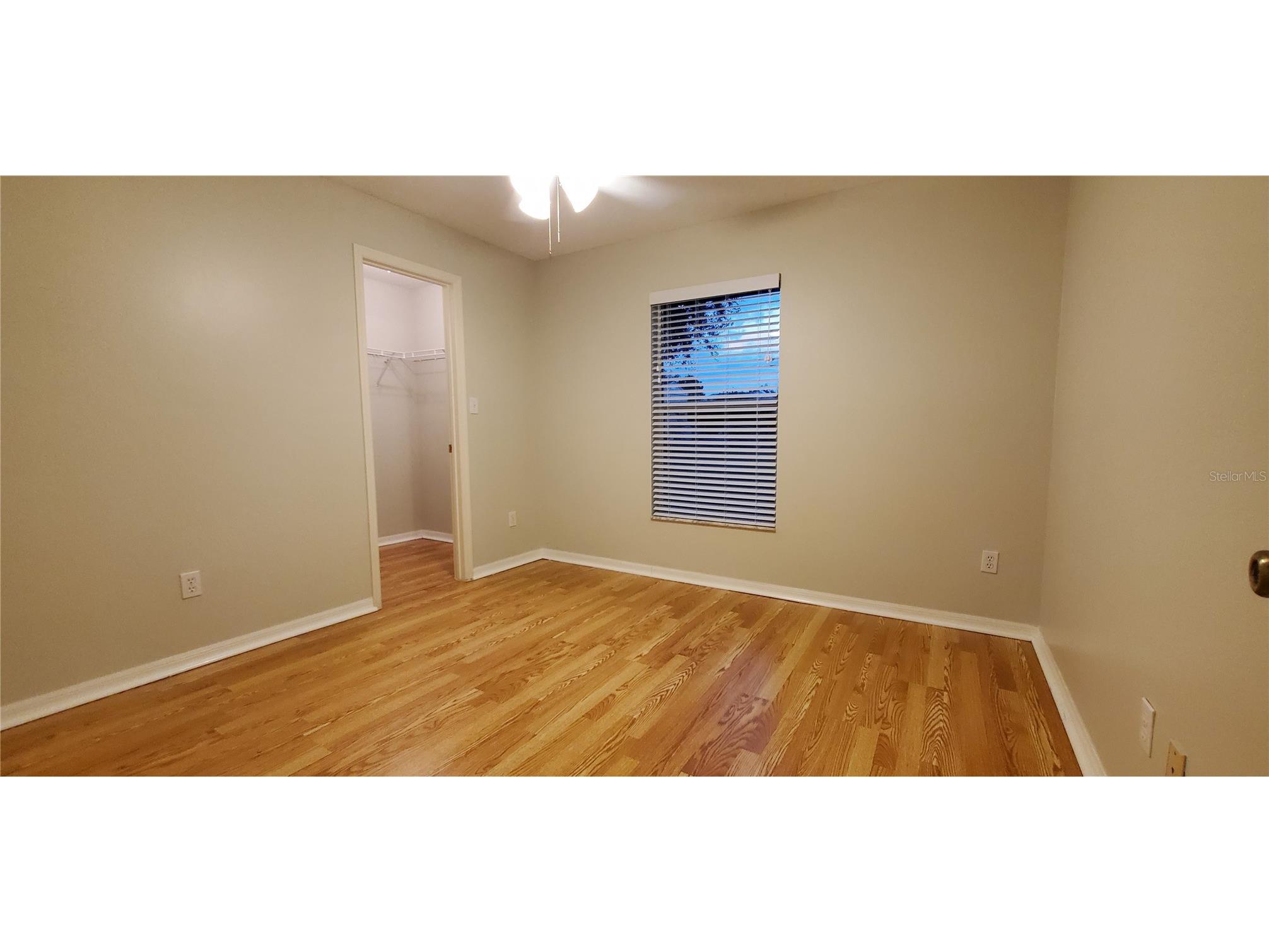 913 Palm Forest Lane Minneola FL 34715 G5106494 image14