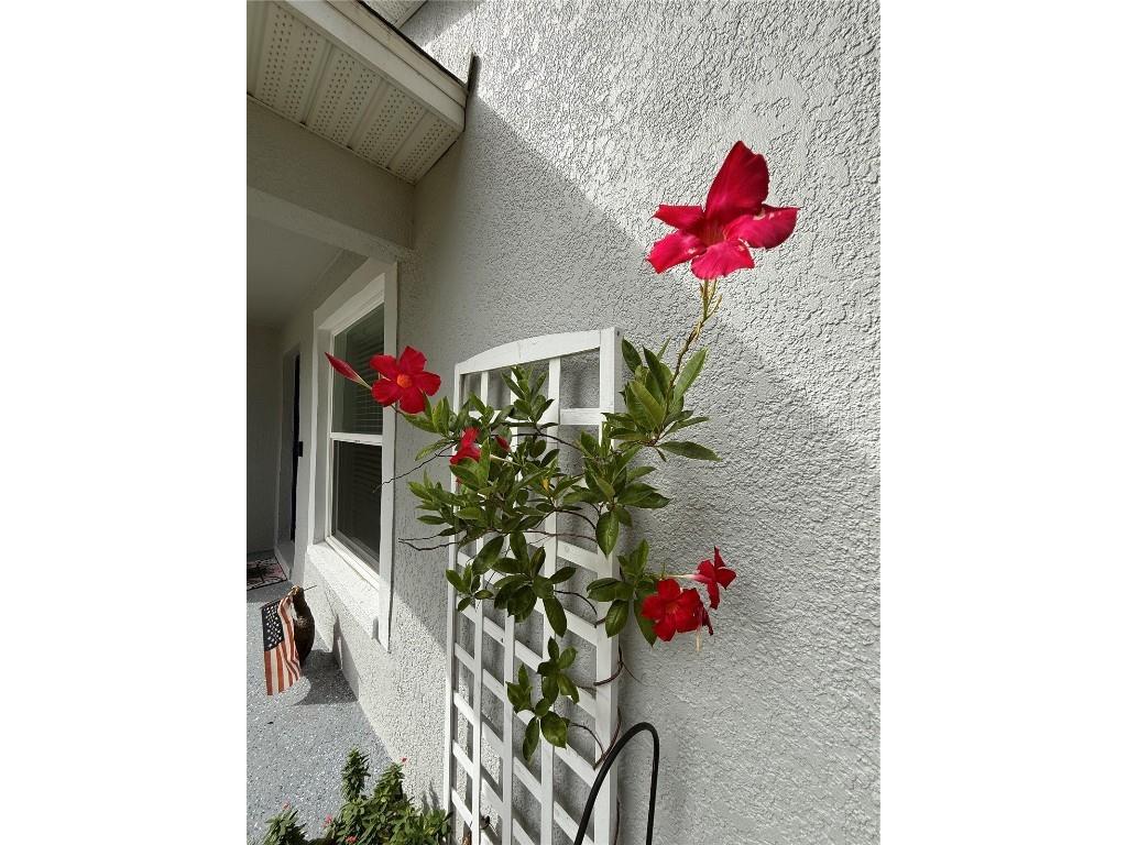 913 Powell Street Wildwood FL 34785 G5103565 image23