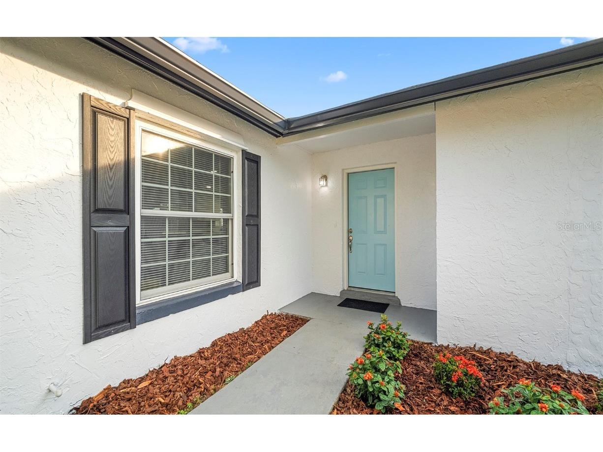 913 York Drive Brandon FL 33510 TB8451283 image3