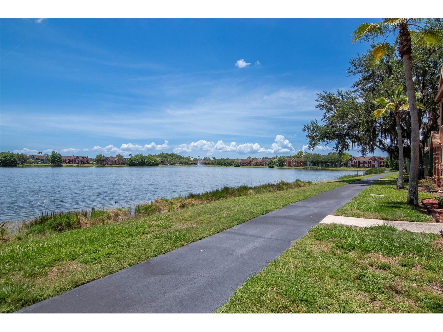 9130 Lake Chase Island Way #9130 Tampa FL 33626 TB8515159 image25