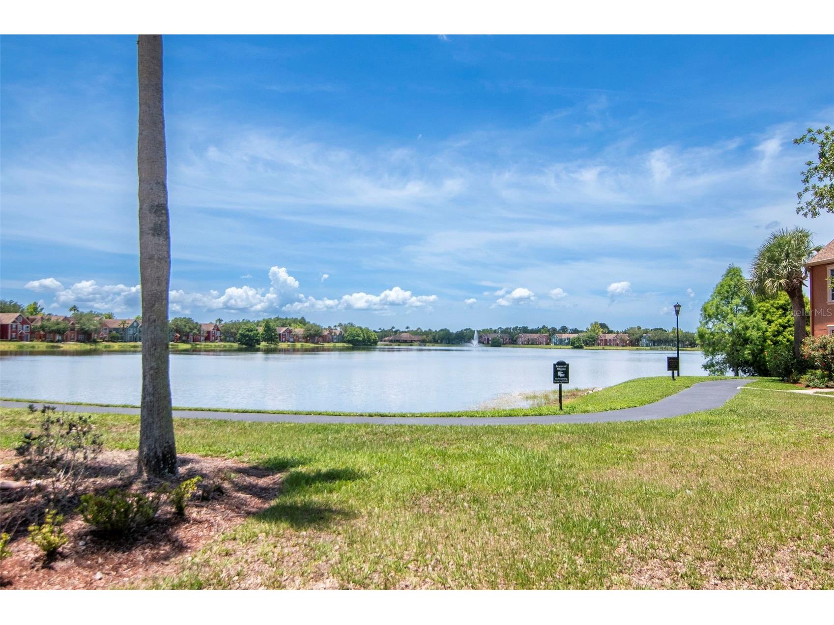 9130 Lake Chase Island Way #9130 Tampa FL 33626 TB8515159 image27