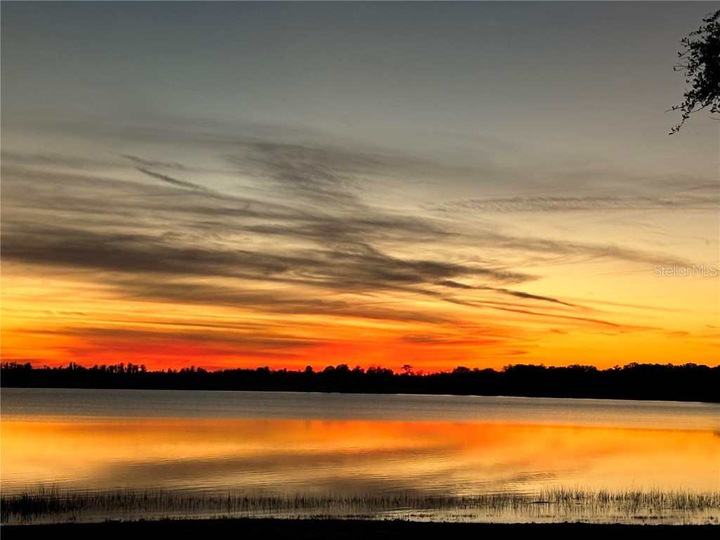 9130 Laws Road Clermont FL 34714 - LAKE KIRKLAND O6280873 image9