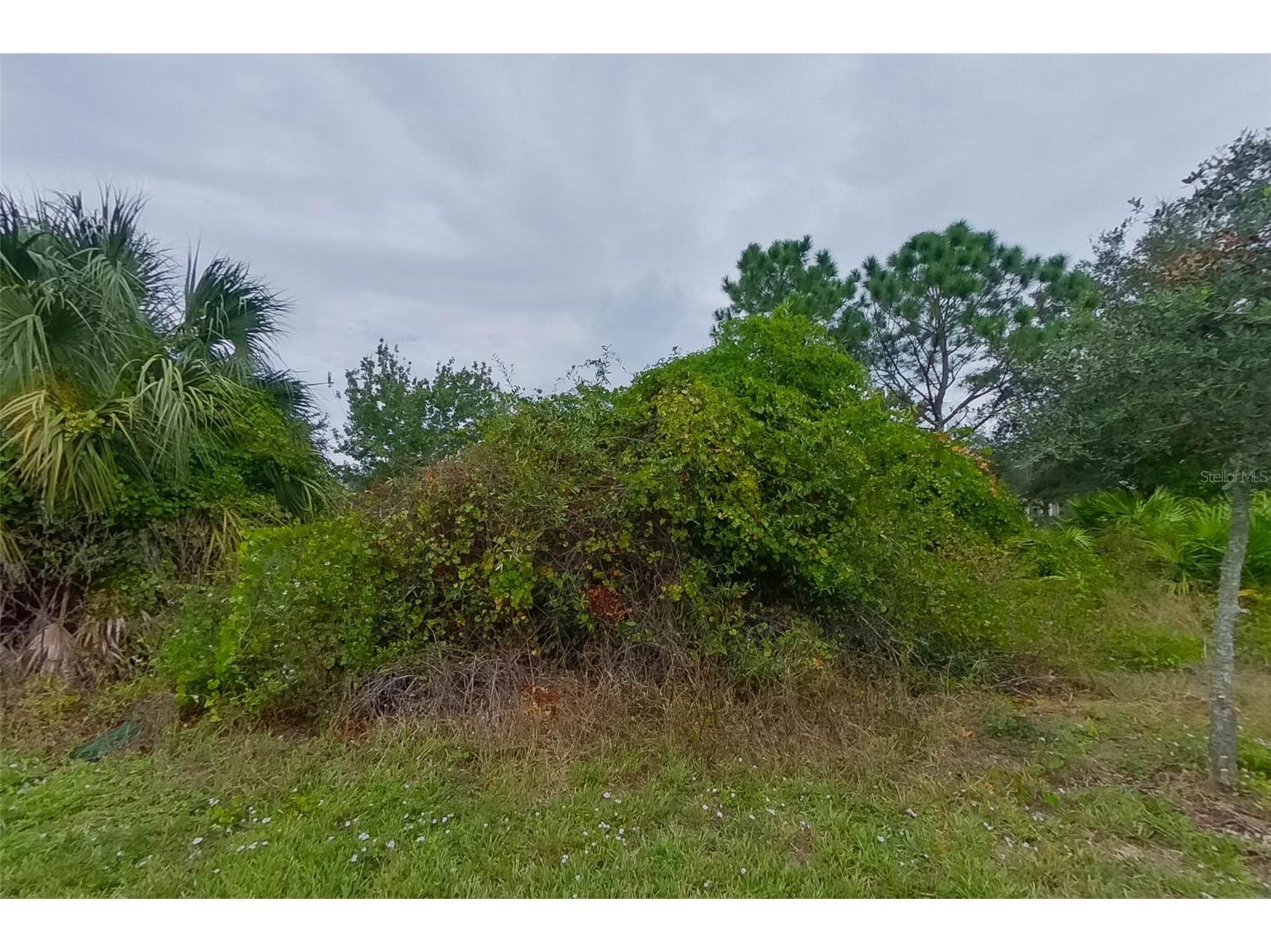 9131 Aegean Circle Lehigh Acres FL 33936 O6410829 image21