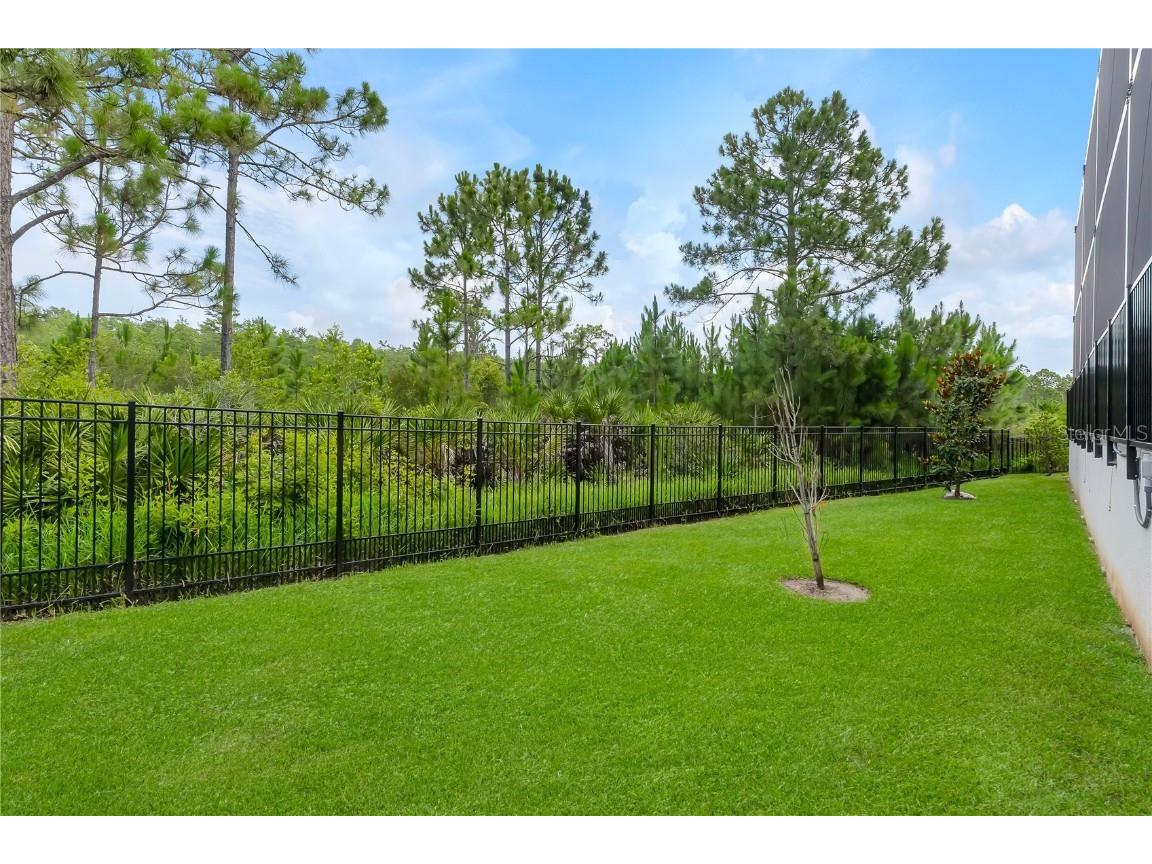 9131 Santorini Drive Orlando FL 32827 O6336142 image65