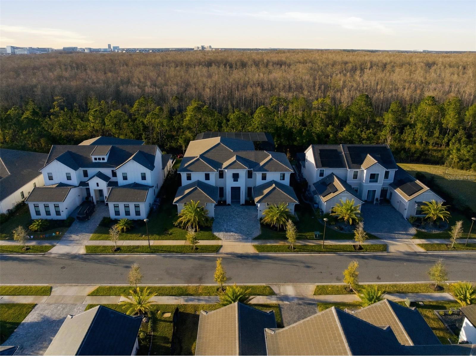 9131 Santorini Drive Orlando FL 32827 O6379130 image93