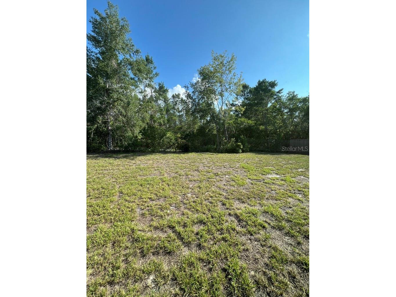 9131 Swiss Road Spring Hill FL 34606 TB8504166 image15