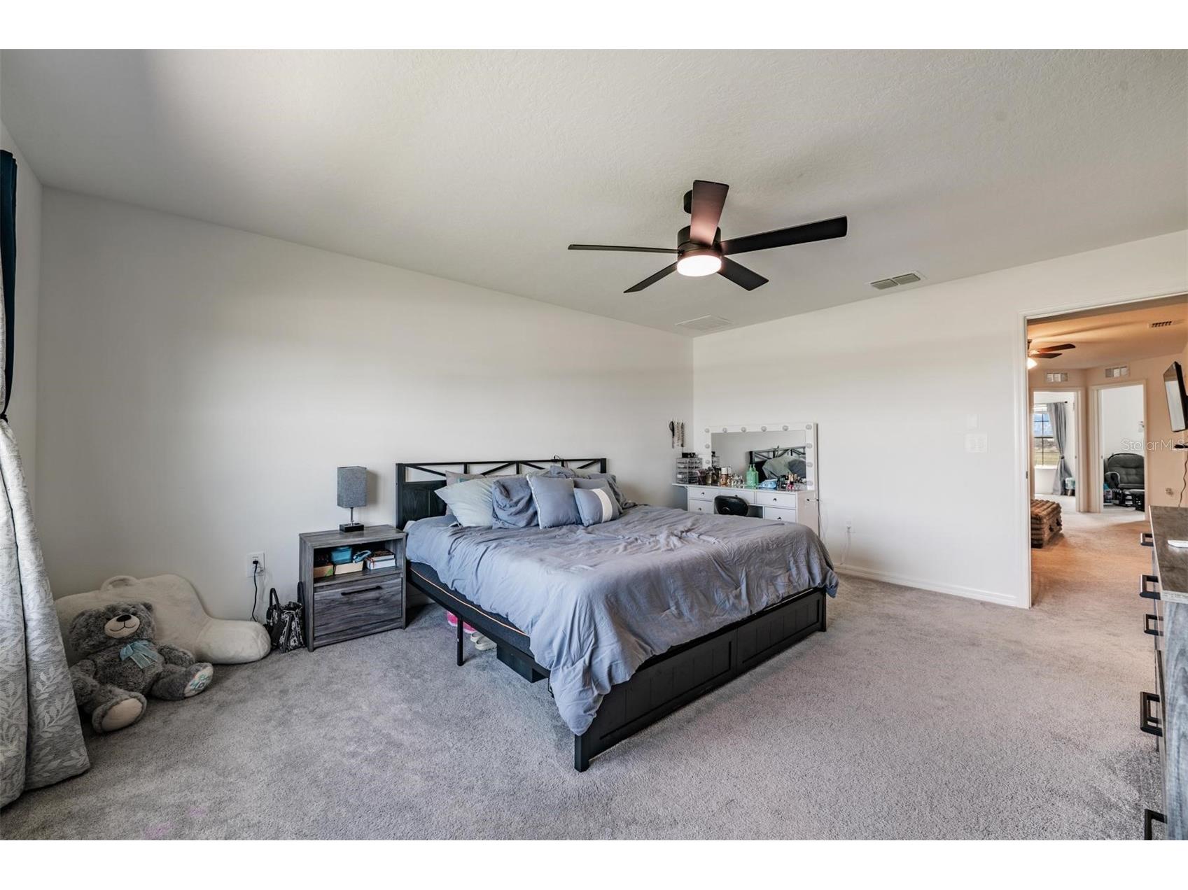 9133 Bonita Mar Drive Parrish FL 34219 TB8494667 image13