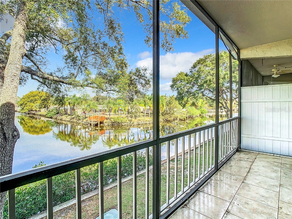 9133 Tudor Drive #D202 Tampa FL 33615 T3502024 image1