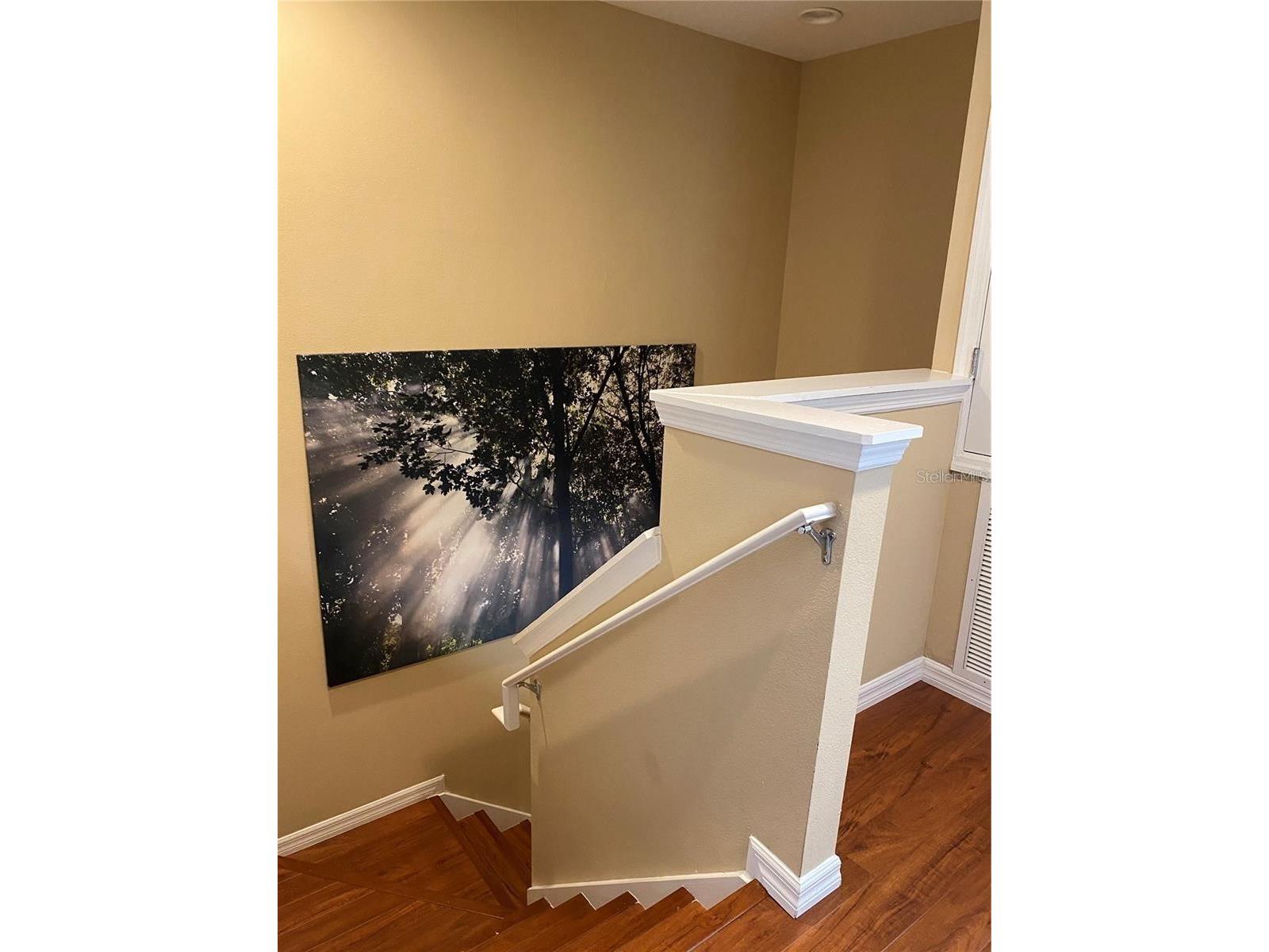 9135 Cardinal Meadow Trail Orlando FL 32827 O6409952 image23