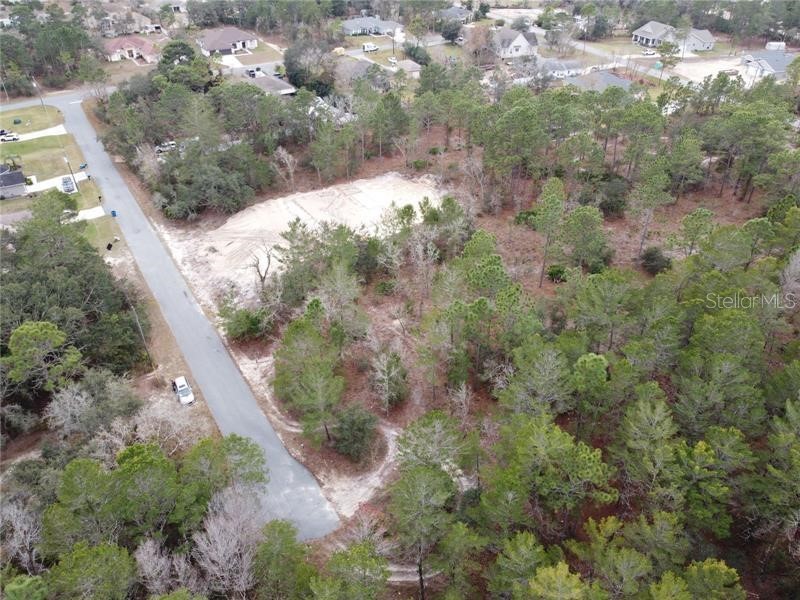 9135 Marcus Road Weeki Wachee FL 34613 O6159010 image1