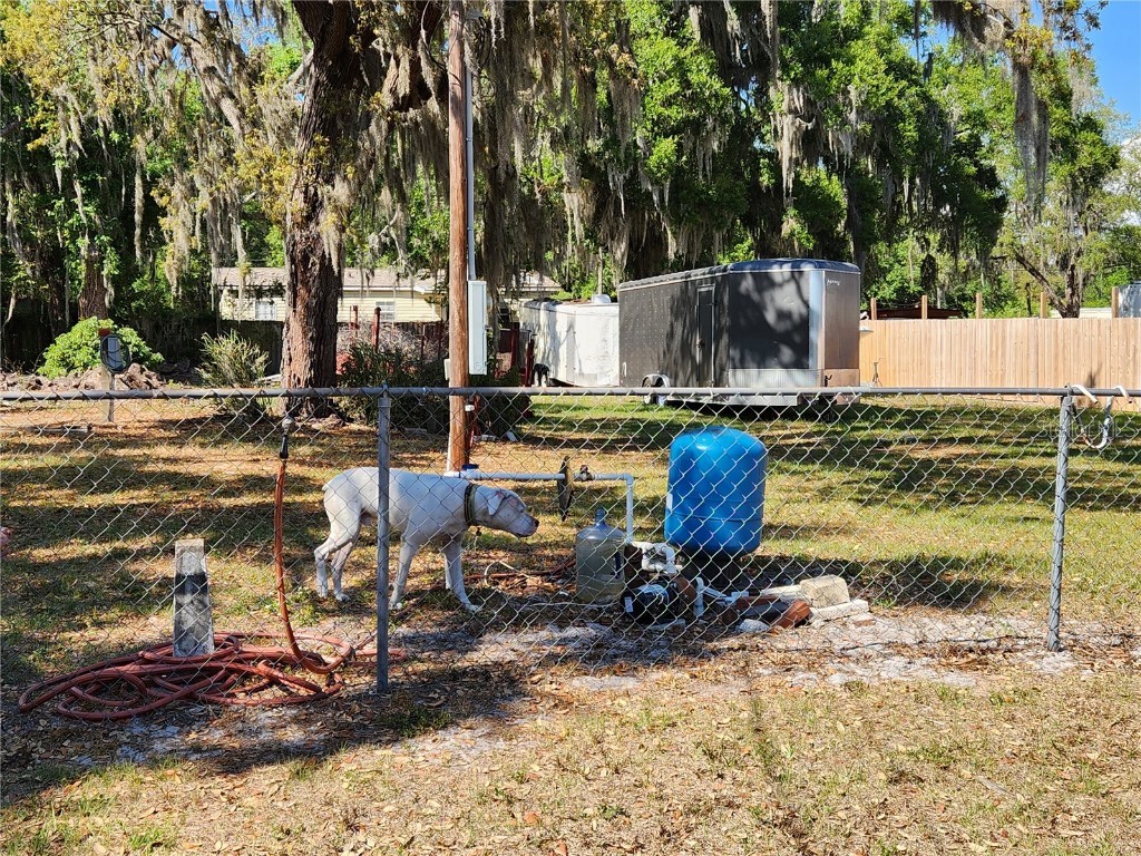 9135 Peony Street New Port Richey FL 34654 W7853872 image1