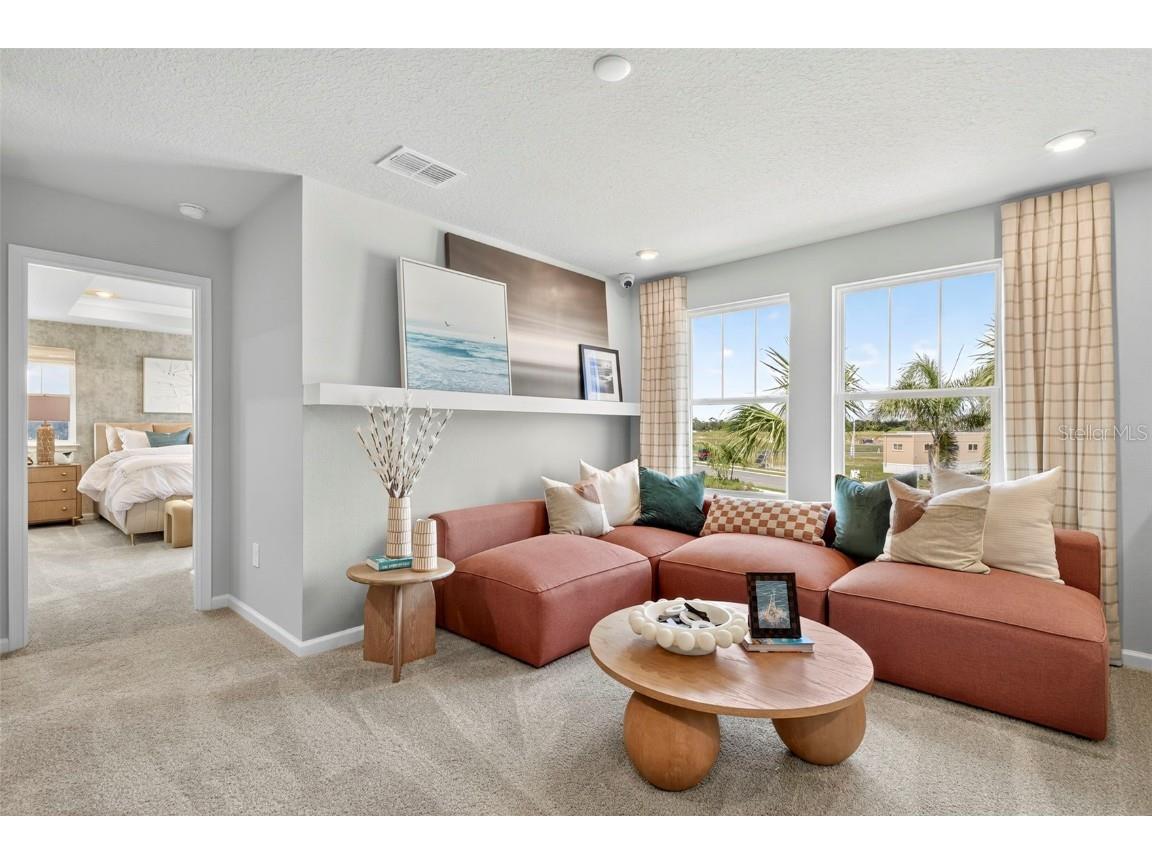 9136 Aurelia Avenue Parrish FL 34219 TB8441993 image17