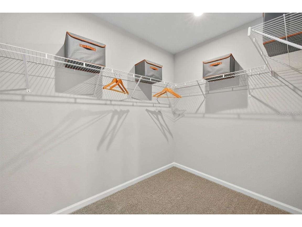 9136 Aurelia Avenue Parrish FL 34219 TB8441993 image24