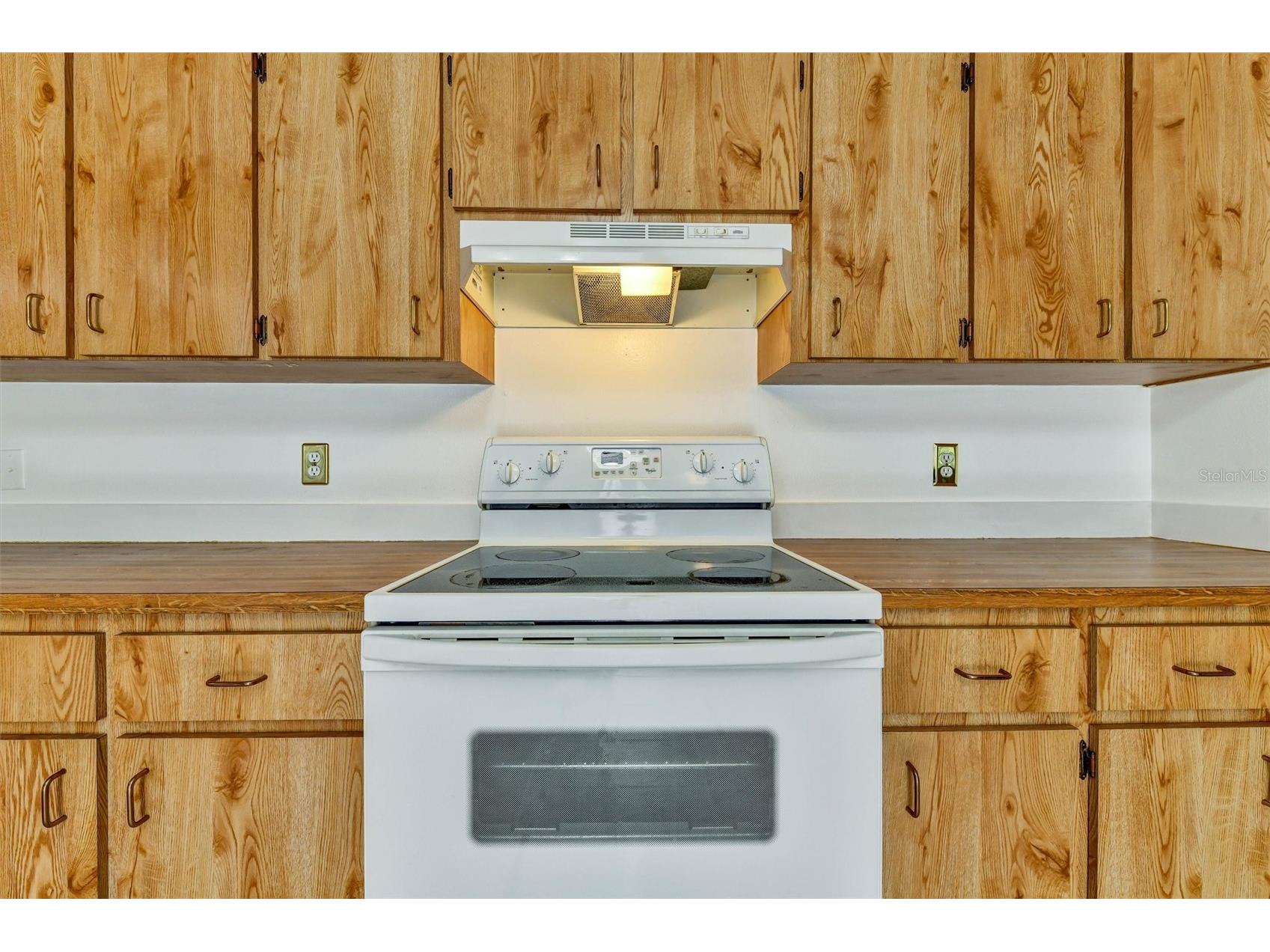 9136 Emerald Boulevard Hudson FL 34667 TB8526026 image20