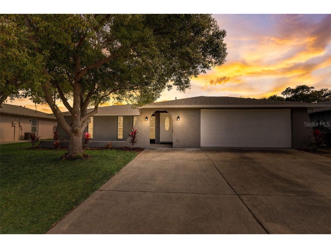 9136 Farmington Lane Port Richey FL 34668 T3484905 image1