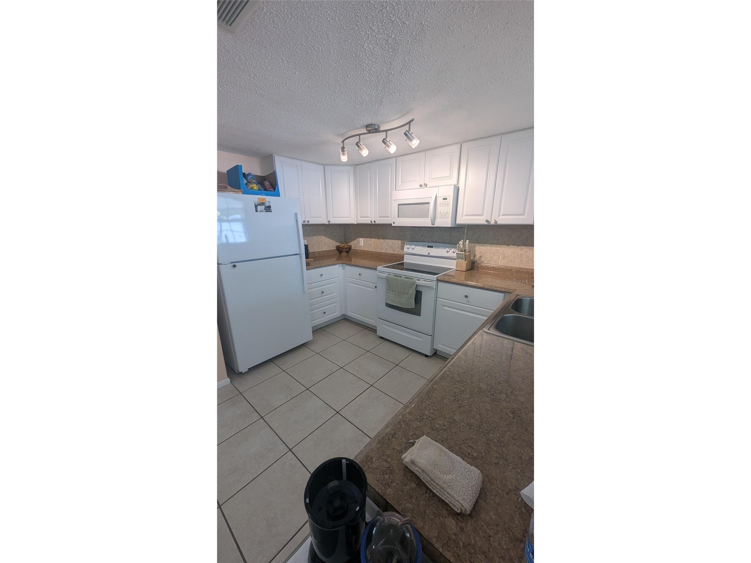 9136 Lunar Lane Port Richey FL 34668 W7884257 image5