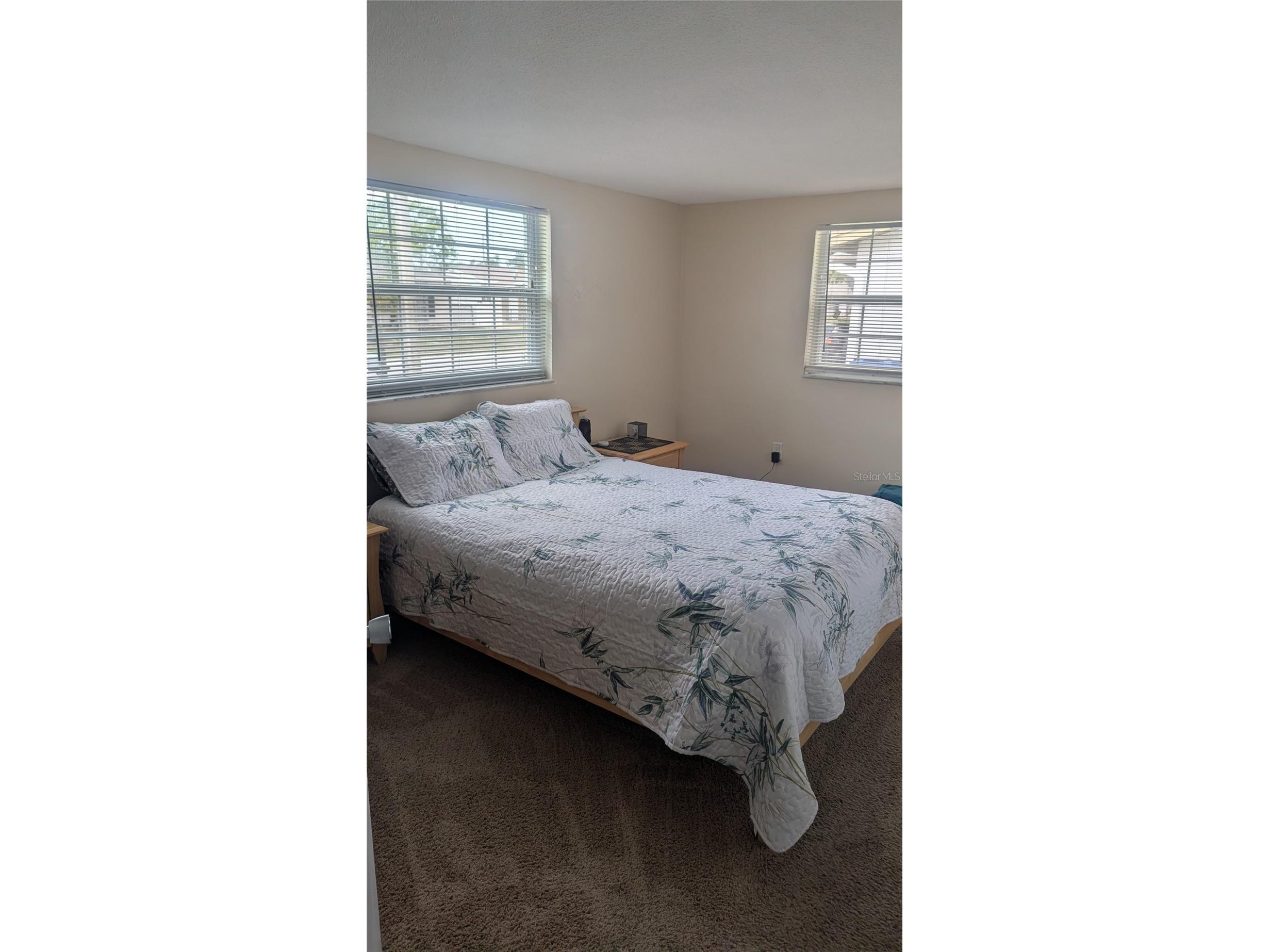 9136 Lunar Lane Port Richey FL 34668 W7884257 image7